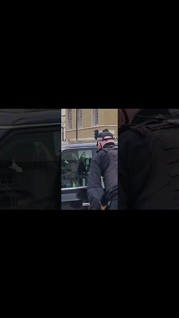 Armed police tells off black cab driver #horseguardsparade