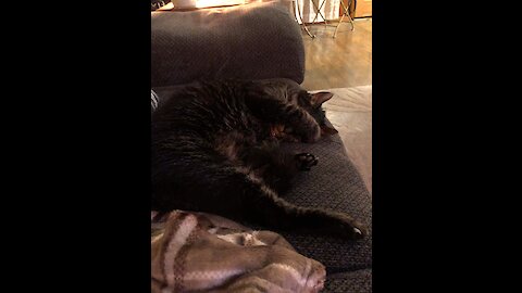 Cosmo #6 His bat cave