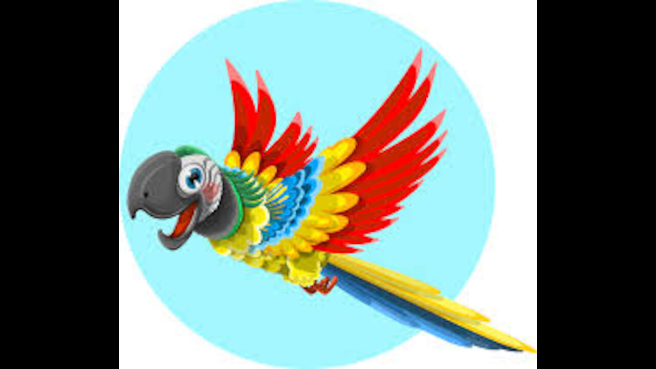 The parrot, funny english learning for babies