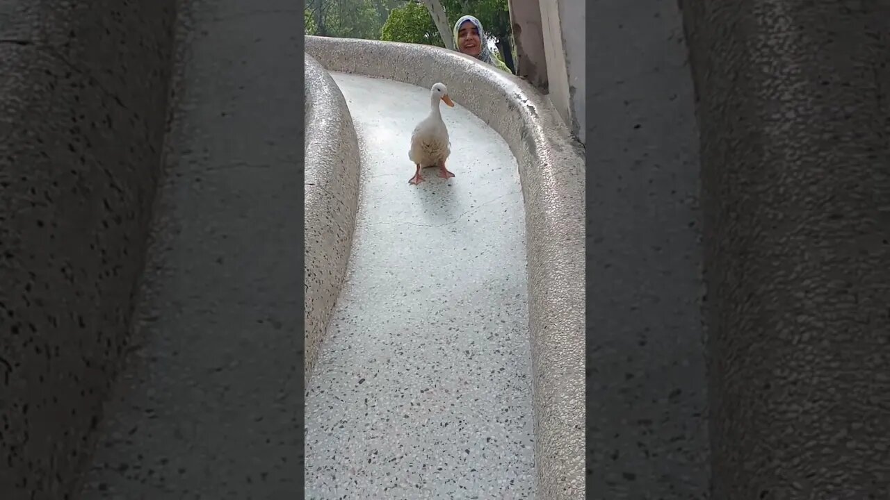 😂♥