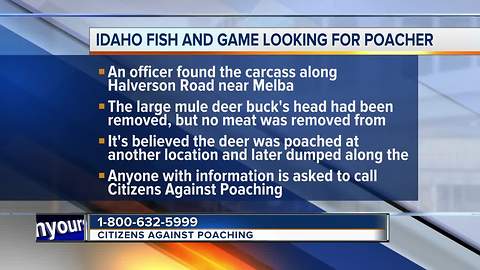 Idaho fish and Game asks for the public's help in poaching case