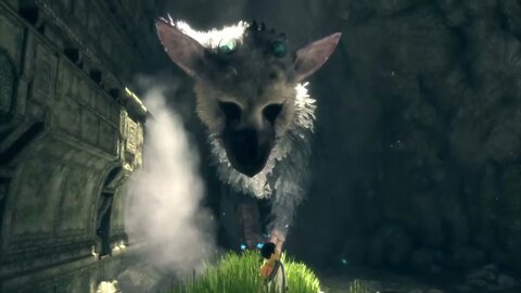 Bird-Cat-Doggo | The Last Guardian | Livestream