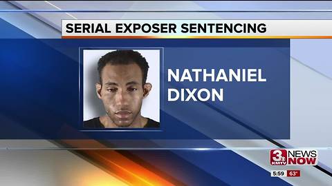 "Serial Library Exposer" sentenced for two more incidents