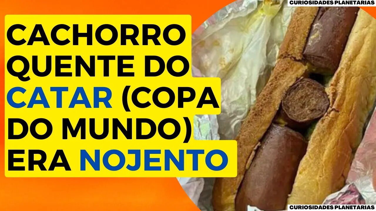 CACHORRO QUENTE VENDIDO NA COPA DO MUNDO DO CATAR ERA NOJENTO! VEJA E SE ASSUSTE! #curiosidades