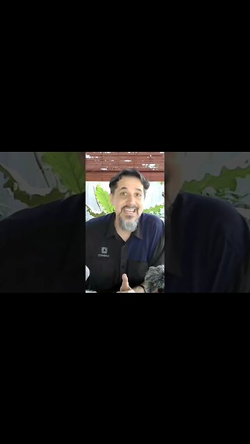 We Believe Jesus Is Lord!