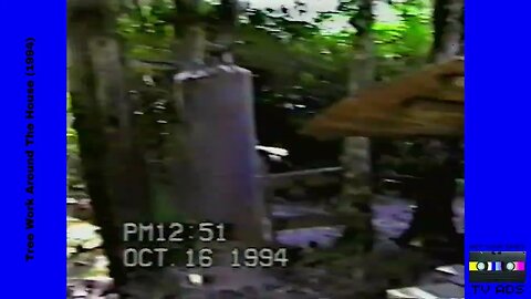 Tree Work Around The House (1994)