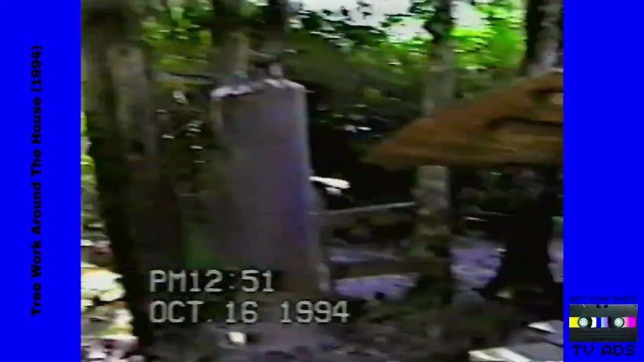 Tree Work Around The House (1994)