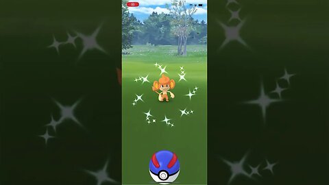 Shiny Compilation