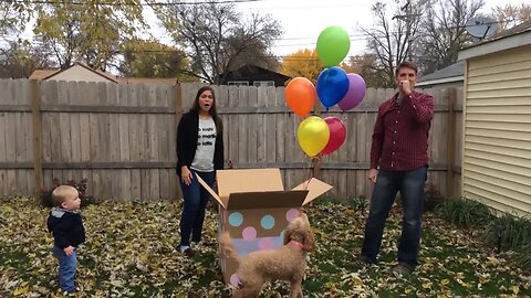 Epic Gender Reveals