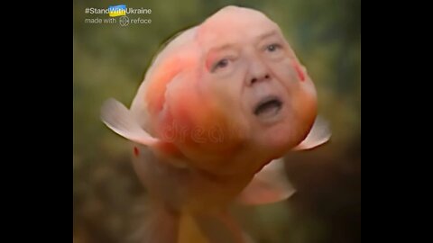 The Ultimate Donald Trump Fish Meme! 🐠