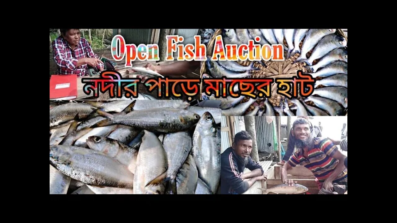 Open Fish auction/নদীর পাড়ে মাছের হাট/Fish of Riverland part-6