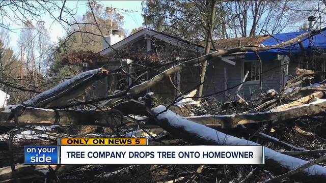 Elderly man injured after company cut down tree, sent it crashing into Sagamore Hills home