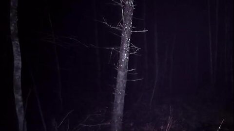 Threshold Sizzle Final 042424.mp4