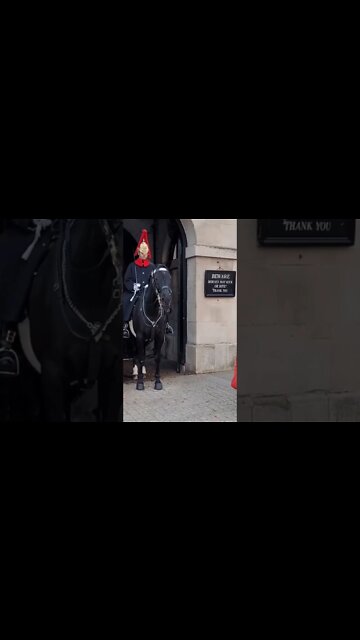 Horse tries to get her #horseguardsparade