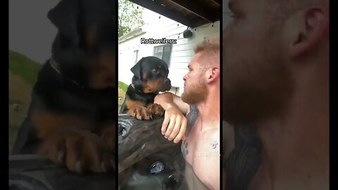 Rottweiler Attack Caught on Camera