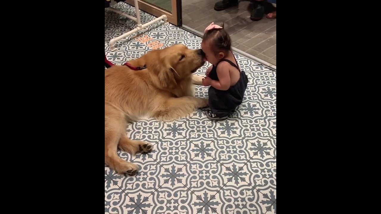 Gentle Pup Gives Toddler Sweet Kiss