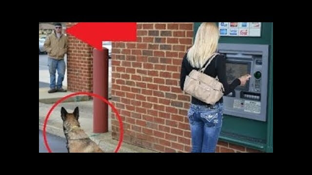 Dogs Protecting Their Owners - Dogs that are better than guns! [ Dog Training ]