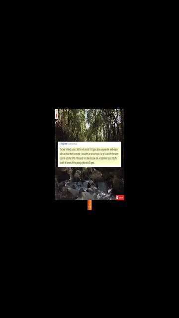 CMV Corporations should be banned from buying single family youtube mp4