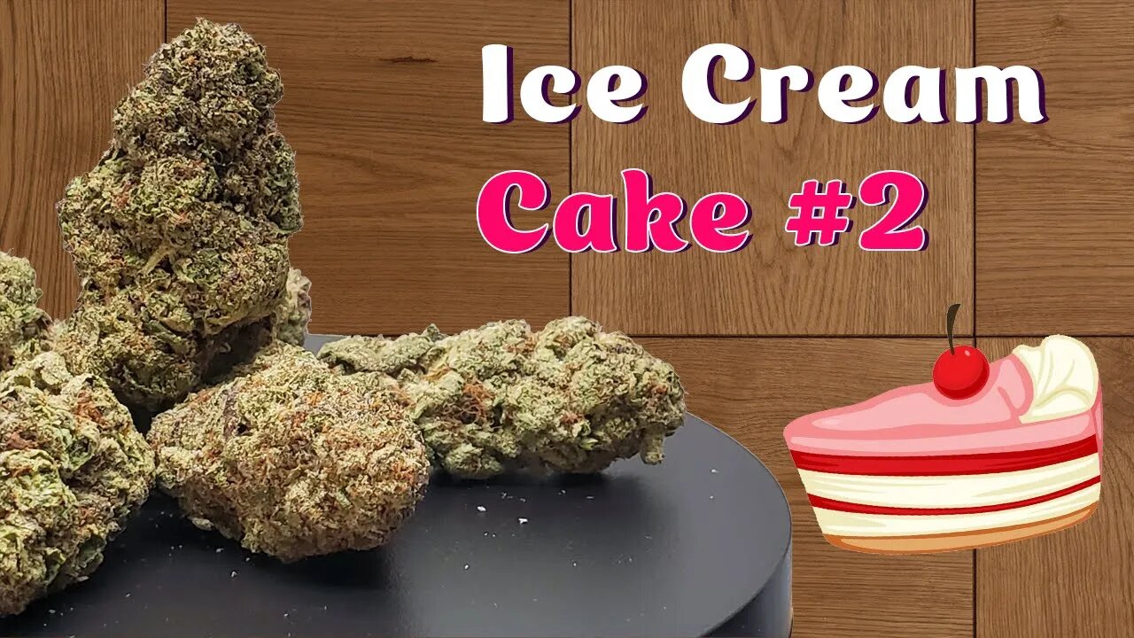 Ice Cream Cake Strain Review