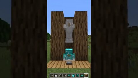 Minecraft #tiktok #Shorts