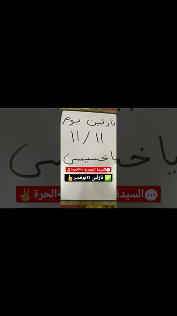 السيدة المصرية الحرة | انت خسيس ونازلين ١١نوفمبر يا خسيس | #shorts