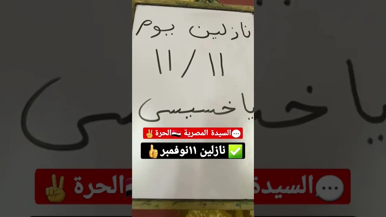 السيدة المصرية الحرة | انت خسيس ونازلين ١١نوفمبر يا خسيس | #shorts