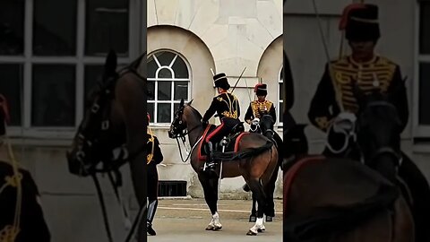 Horse won't keep still #horseguardsparade