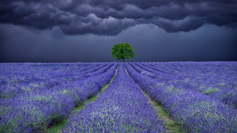 Count Your Blessings in the Storm