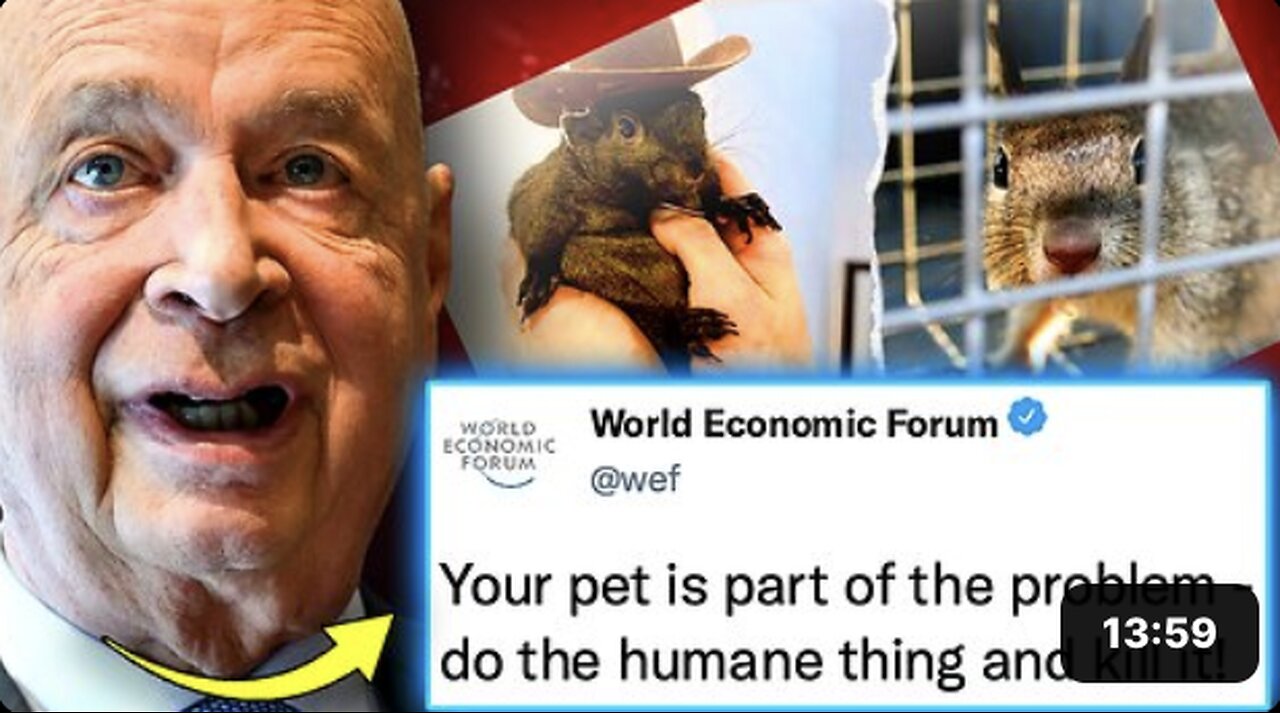 WEF Orders Slaughter of Pets Owned by Citizens With Low Social Credit Scores