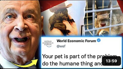 WEF Orders Slaughter of Pets Owned by Citizens With Low Social Credit Scores