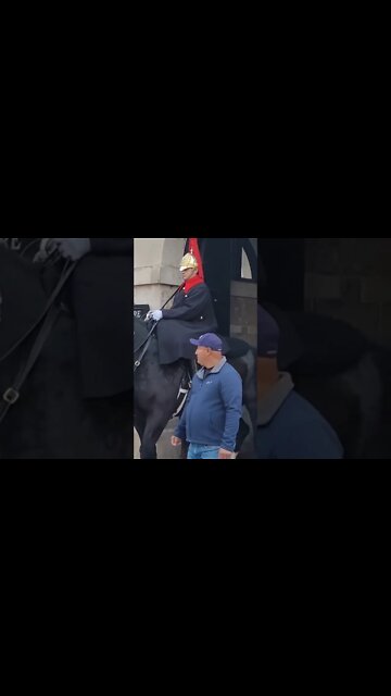 Touch the Reins yank them away #horseguardsparade