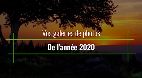 Rétrospective galerie de photos