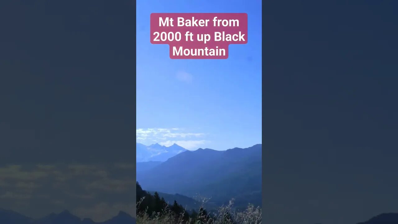 Mt Baker from 2000ft up Black Mountain! #mtbaker #blackbear #hunting