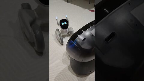 Introducing Loona Robot To Kebbi Robot 🤖 #shorts