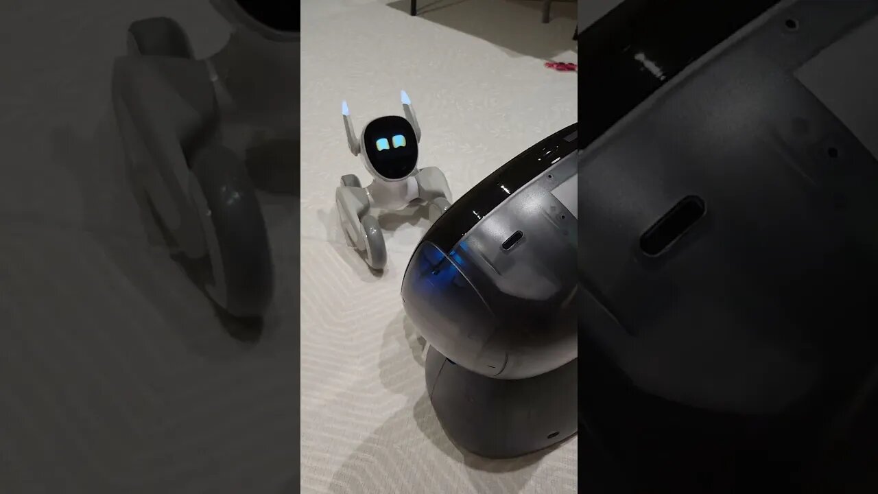 Introducing Loona Robot To Kebbi Robot 🤖 #shorts