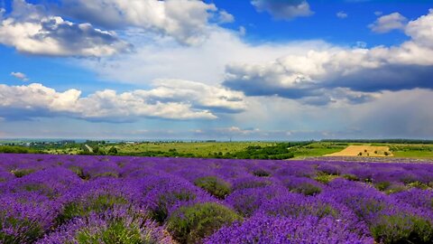 Relaxing Sound Lavender