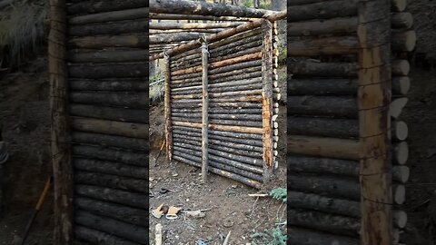 Construct a bugout bushcraft shelter #bugout #bushcraft #bugoutshelter #bushcraftshelter #survival