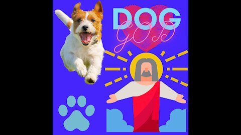 God Or Dog Funny Video