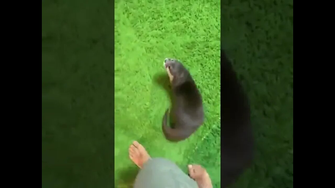 Dinner Time