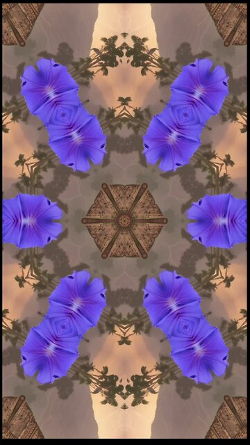 Cymatic frequencies and potential benefits