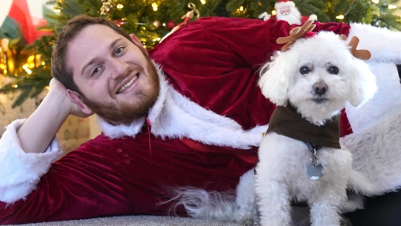 My Dog LOVES his CHRISTMAS GIFT!