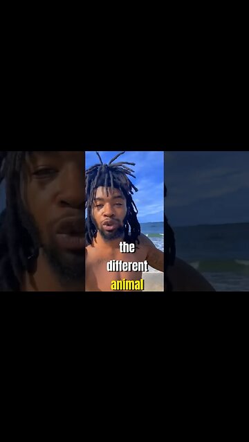 The Difference I’m Animals!