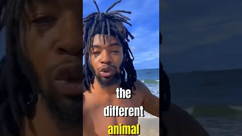 The Difference I’m Animals!