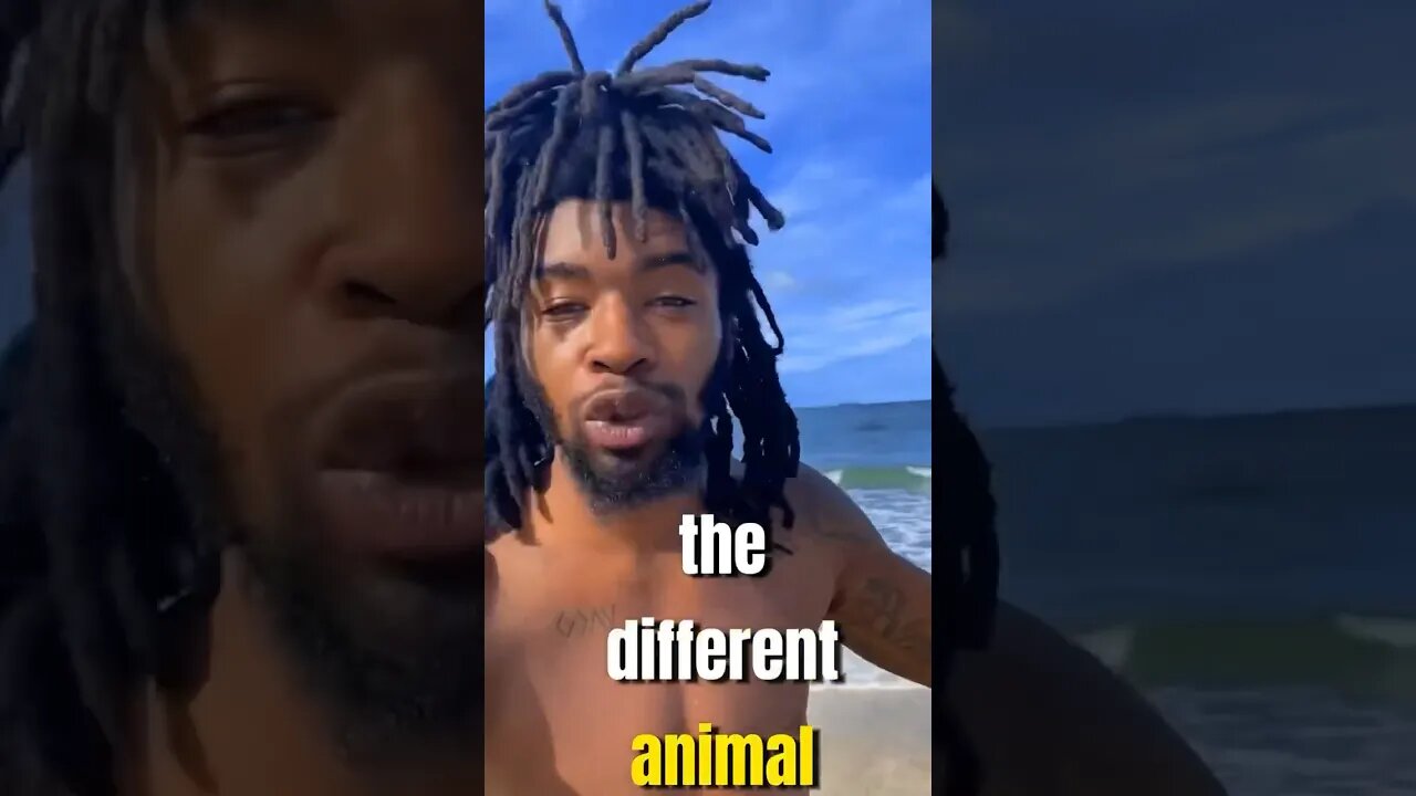 The Difference I’m Animals!