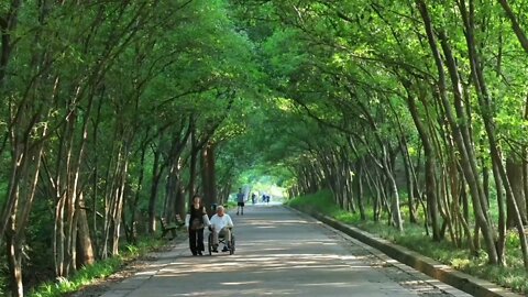 "It is said that autumn is suitable for missing, but in fact it is more suitable for meeting"