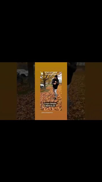 Alex Pereira future champion #ufc281 #shorts