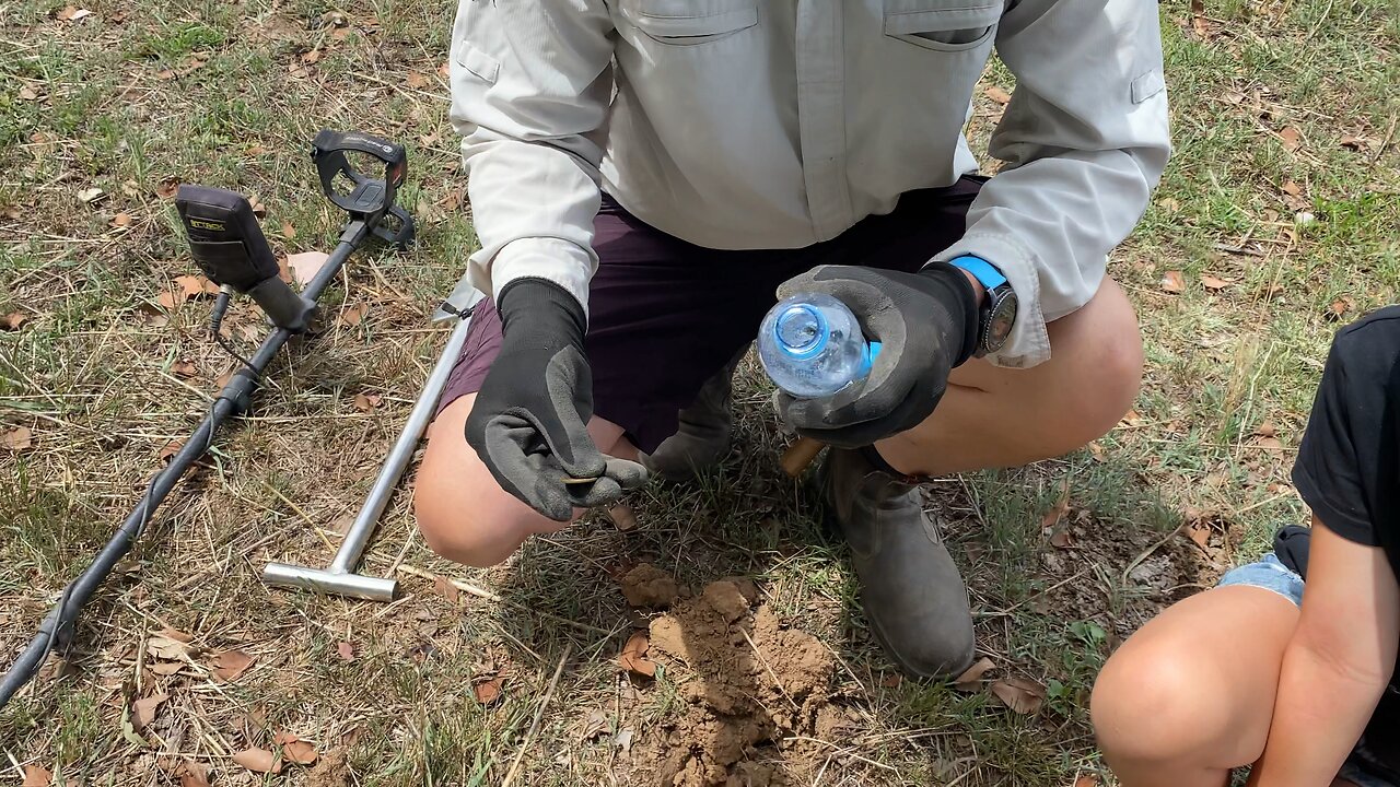 Silver Shilling In The Ants Nest