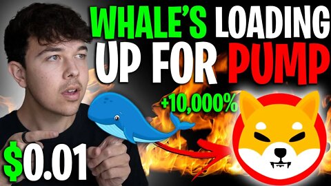 SHIBA INU COIN WHALE BUYS 3 TRILLION COINS 🔥 SHIB PUMP STARTING NOW 🚨