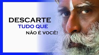 DESCARTE TUDO QUE NÃO É VOCÊ, SADHGURU DUBLADO, MOTIVAÇÃO MESTRE