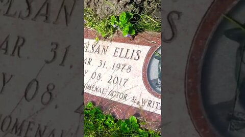 Grave of TRUE BLOOD star Nelsan Ellis RIP